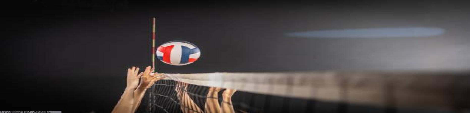 2026世界杯导航门户球队专题页面